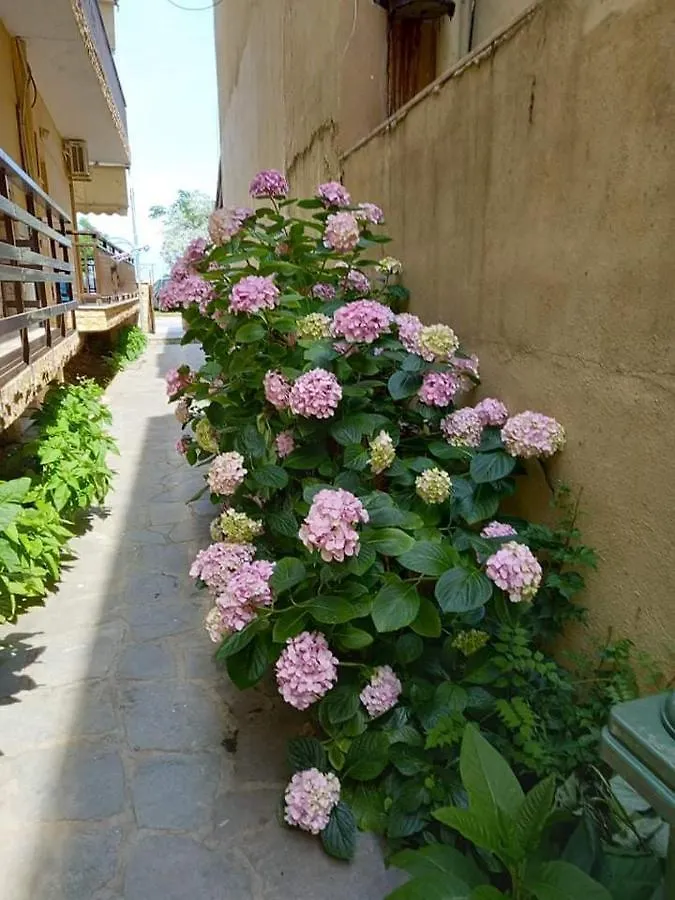Hotel Anthoula House Sarti