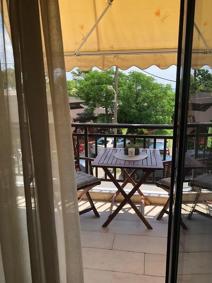 Hotel Anthoula House Sarti 0*,